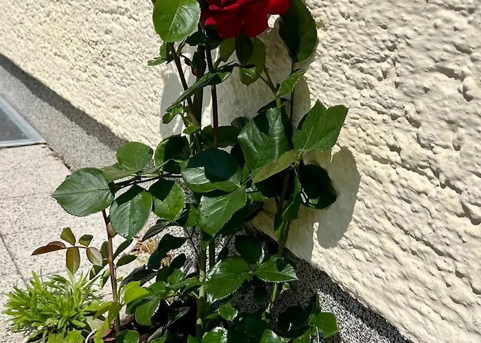 Salzkammergut Hideaway Rudolph Apartmán *